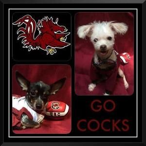 Meet your Posher, Beth